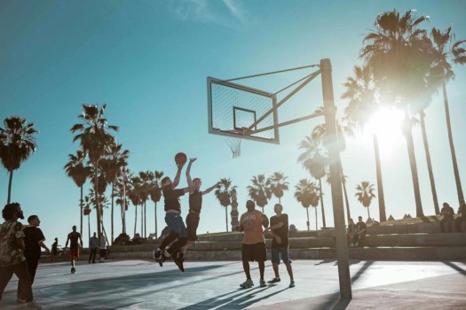 61669318_537510870116670_435382900674789376_o